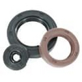 Rotary shaft seal