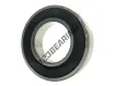 6005-C-2HRS-C3-FAG