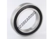 6017-2RS-INOX