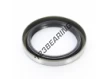 BC-53.97X73.02X9.52-NBR