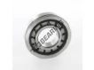 F19044-ASFERSA