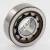 NJ203-ECP-SKF