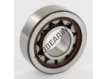 NJ203-ECP-SKF