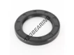 OA-76.20X114.30X12.70-NBR