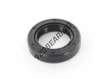 OAS-21X32X7-NBR