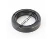 OAS-24.60X35X7-NBR