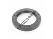 OAS-69.85X101.60X12.70-NBR
