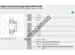 RAE12-NPP-FA106-INA