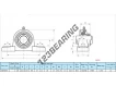 SAP204