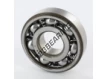 TM-SX04B13-CM-NTN
