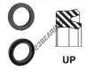UP-55X70X10-NBR90