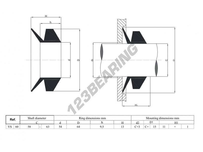 NBR 60 1 V-Ring VA 25 